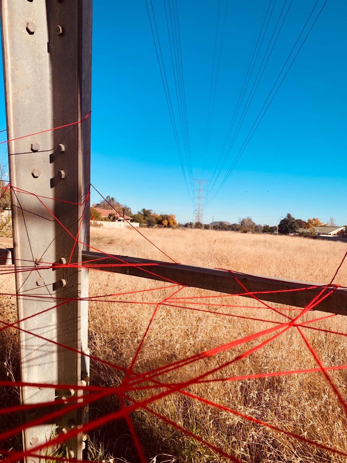 Where the Line Runs