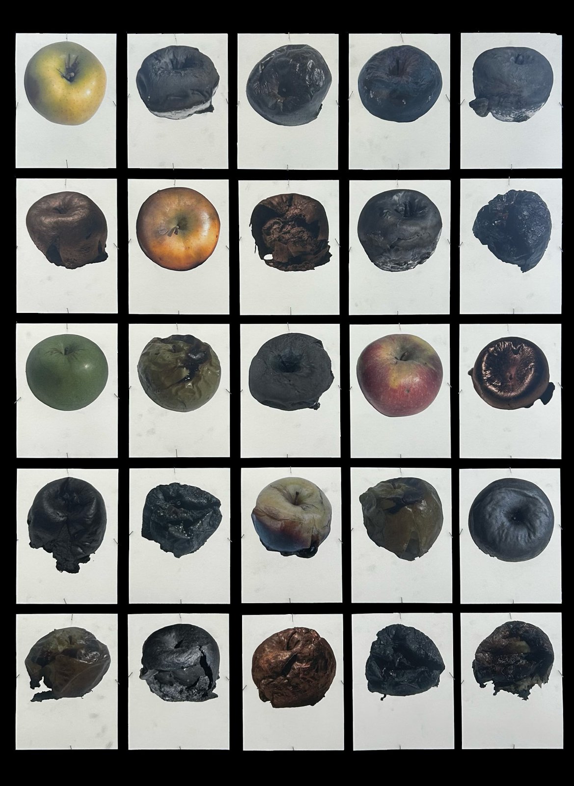 A Collection of Sin